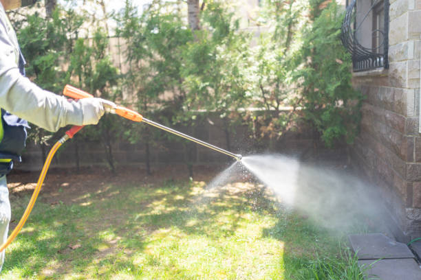 Spider Control Near Me in Lebanon, OR